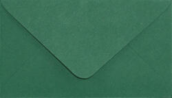 Sirio Color Plicuri decorative colorate C8 5, 8x10 NK Sirio Color Foglia verde închis 115g
