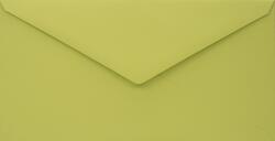 Woodstock Plicuri decorative colorate ecologică DL 11x22 NK Woodstock Pistacchio verde 140g