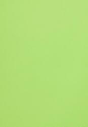 Malmero Hârtie decorativă colorată simplă Malmero Bambou 300g verde 70x100 R100
