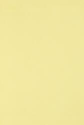 Circolor Hârtie decorativă colorată ecologică Circolor 160g Camomile galben deschis buc. 250A4