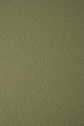 Tintoretto Hârtie decorativă colorată texturată Tintoretto 250g Wasabi verde 72x101 R125 1 buc