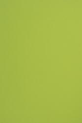 Sirio Color Hârtie decorativă colorată simplă Sirio Color 115g Lime verde deshis 70x100 R250 1 buc