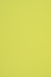 Woodstock Hârtie decorativă netedă colorată ecologică Woodstock 285g Fistic verde pachet 10A4