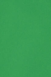 Burano Hârtie decorativă colorată simplă Burano 250g Verde Bandiera B60 verde buc. 10A5