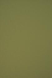 Circolor Hârtie decorativă colorată ecologică Circolor 160g Rosemary verde buc. 250A4