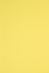 Rainbow Hârtie decorativă colorată simplă Rainbow 230g R16 galben 70x100 R125 1 buc