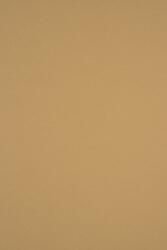 Sirio Color Hârtie decorativă colorată simplă Sirio Color 170g Bruno maro deshis buc. 20A4