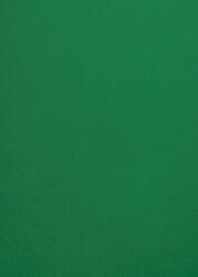 Malmero Hârtie decorativă colorată simplă Malmero Amazone 300g verde închis 70x100 R100
