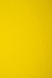 Prisma Hârtie decorativă colorată texturată Prisma 220g Cedro galben buc. 10A5