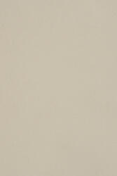 Burano Hârtie decorativă colorată simplă Burano 250g Grigio B12 gri deschis buc. 10A5