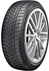Double Star Anvelope Doublestar DW09 255/55R20 107H Iarna