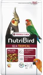 Versele-Laga NutriBird G14 Tropical Hrana de baza pentru papagali de talie mare 1 kg