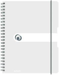 Herlitz Caiet a4 80f spira patratele eotg coperta pp transparent - Set 2 (11293107)