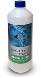 Brillant Pool Algenix Top Течност за унищожаване на водорасли 1L (UVA-T01B)