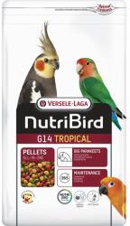 Versele-Laga NutriBird G14 Tropical 1 kg eledel közepes méretű papagájok számára