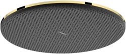 Hansgrohe Raindance Alive S EcoSmart 300 1jet fejzuhany, polírozott arany 24521990 (24521990)