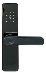 Smartpass Yală smart cu panou din sticlă, cod PIN, card RFID, cheie și aplicație TTLock, interior, negru - Smartpass MALAGA GLS BLACK (SMP-OSAKA-1TT-BL)