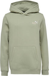 PUMA Ess+2 Col Small Logo Hoodie Fl (68582582)