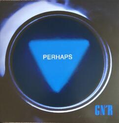 Guns N' Roses - Perhaps (7") (0602458350258)