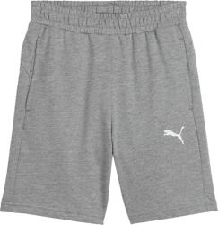 PUMA Teamgoal Casuals Shorts Jr (65860933)