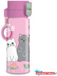 Ars Una Ars Una Cute animals-tea party BPA-mentes kulacs-475 ml (55025324)