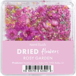 NANI dried flowers - Rosy Garden