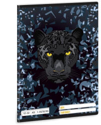 Ars Una Füzet vonalas ARS UNA A/5 32 lapos 12-32 3. osztályos Black Panther (53605290) - papir-bolt