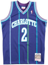 Mitchell & Ness Charlotte Hornets NBA Swingman Alternate Jersey Larry Johnson purple