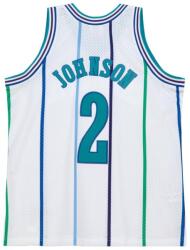 Mitchell & Ness Charlotte Hornets Swingman Jersey Larry Johnson white