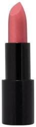 Radiant Professional Machiaj Buze Advanced Care Lipstick Glossy Terracotta Ruj 4.5 g