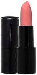 Radiant Professional Machiaj Buze Advanced Care Lipstick Velvet Dusty Pink Ruj 4.5 g