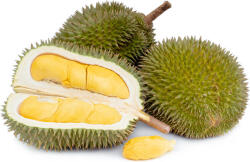  Durian Salbatic Import Tanzania Greutate 1 Bucata 1.5-2 Kg