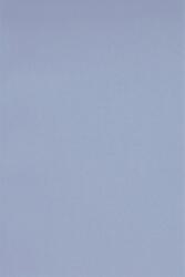 Rainbow Hârtie Rainbow 160g R60 violet 45x64 10coli