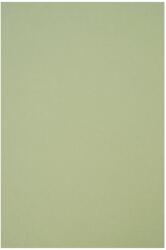 Crush Hârtie Crush 250g Kiwi verde deschis pachet 10A5