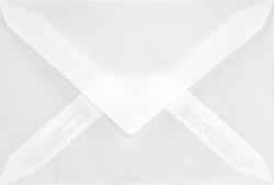 Aster Tracing Plic decorativ neted transparent C7 8x12 BK Aster Tracing delta alb 112g