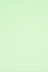 Rainbow Hârtie decorativă netedă colorată Rainbow 160g R72 verde deschis 250A4