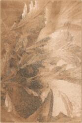  Covor lana Lotis Beige Selectează mărime: 080 X 120 Covor