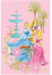 Disney Covor copii Disney Princess roz 140x200 cm, model 110 (vsls_110_140x200) Covor