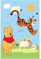 Disney Covor copii Disney cu Pooh si Tigger, 140x200 cm, model 416 (vsls_416_140x200) Covor