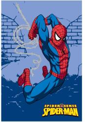 Disney Covor pentru copii Spiderman Disney, model 905, 140x200 cm (vsls_950_140x200) Covor