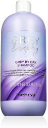 Inebrya GREYlosophy Grey By Day șampon pentru păr gri 1 l