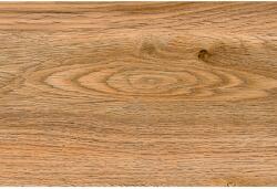 EcoCerram Falicsempe Oak Dark fényes barna fa imitációs 20 cm x 30 cm