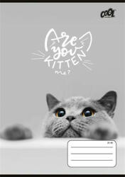 Victoria Füzet, tűzött, A5, vonalas, 32 lap, 4-8. osztály, COOL BY VICTORIA " Cats Forever" , " 21-32"