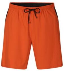 Direct Alpine Sprint Shorts Men Pantaloni scurți cinnamon L