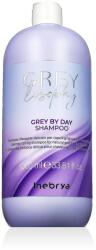 Inebrya GREYlosophy Grey By Day Shampoo 1000 ml