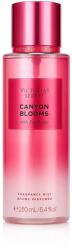 Victoria's Secret Canyon Blooms Testpermet nőknek 250 ml