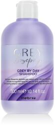 Inebrya GREYlosophy Grey By Day Shampoo 300 ml