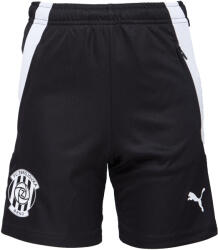 PUMA Teamliga Training Shorts Jr (65725003-zb)