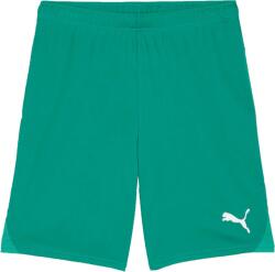 PUMA Teamgoal Shorts (70575205)