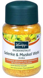 Kneipp ÍZÜLET IZOMLAZÍTÓ FÜRDŐKRISTÁLY 500 g